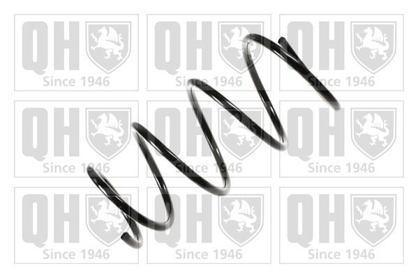 Spyruoklė QUINTON HAZELL QCS6653