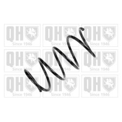 Spyruoklė QUINTON HAZELL QCS6681