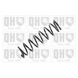 Spyruoklė QUINTON HAZELL QCS6769