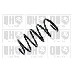 Spyruoklė QUINTON HAZELL QCS6791