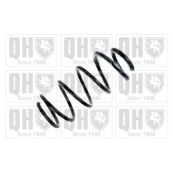 Spyruoklė QUINTON HAZELL QCS6825