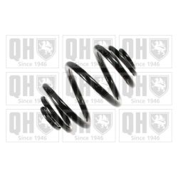 Spyruoklė QUINTON HAZELL QCS6870