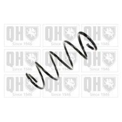 Spyruoklė QUINTON HAZELL QCS6887