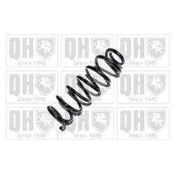 Spyruoklė QUINTON HAZELL QCS6910