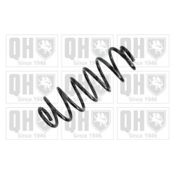 Spyruoklė QUINTON HAZELL QCS6920