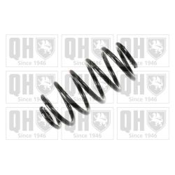 Spyruoklė QUINTON HAZELL QCS6926