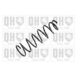 Spyruoklė QUINTON HAZELL QCS6963