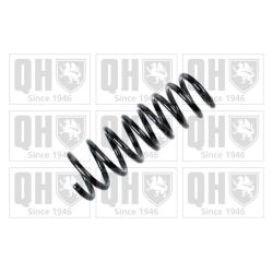 Spyruoklė QUINTON HAZELL QCS7121