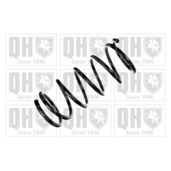 Spyruoklė QUINTON HAZELL QCS7130