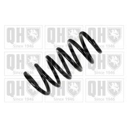 Spyruoklė QUINTON HAZELL QCS7151