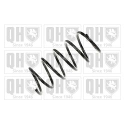 Spyruoklė QUINTON HAZELL QCS7449