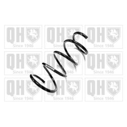 Spyruoklė QUINTON HAZELL QCS7824