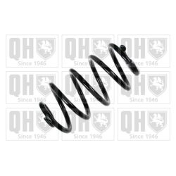 Spyruoklė QUINTON HAZELL QCS7869