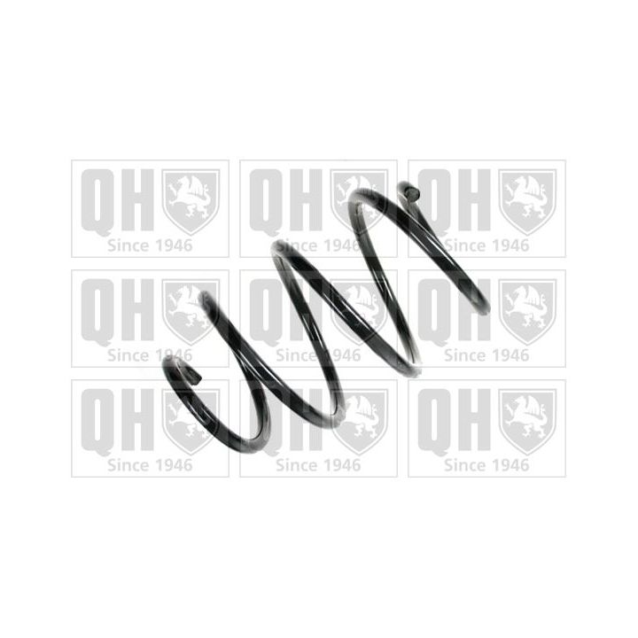 Spyruoklė QUINTON HAZELL QCS7891