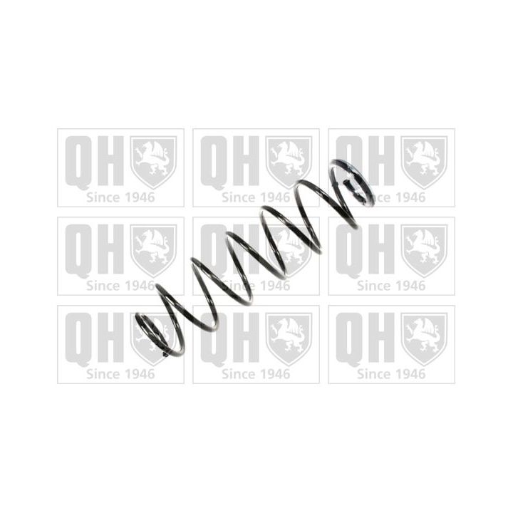 Spyruoklė QUINTON HAZELL QCS7898