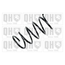 Spyruoklė QUINTON HAZELL QCS7913