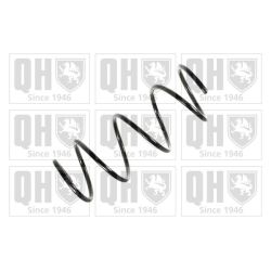 Spyruoklė QUINTON HAZELL QCS7918