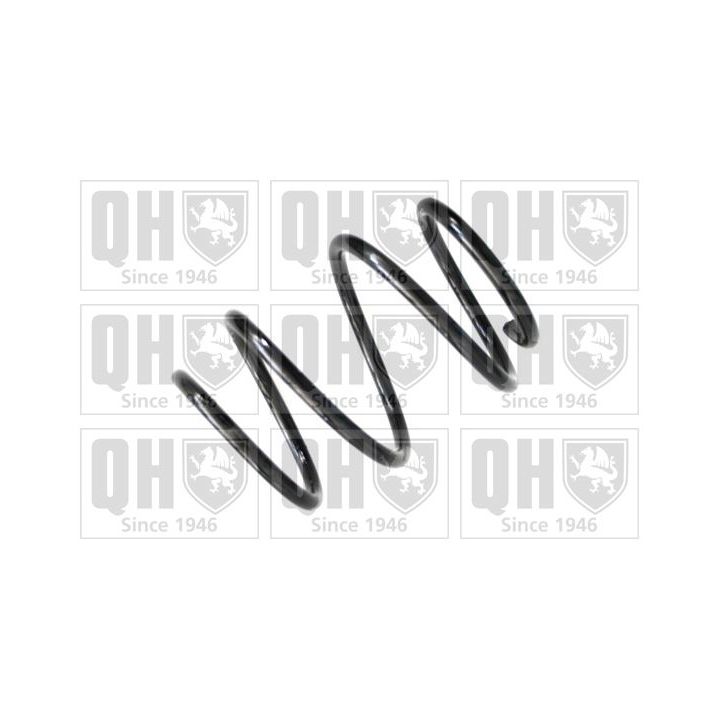 Spyruoklė QUINTON HAZELL QCS7979