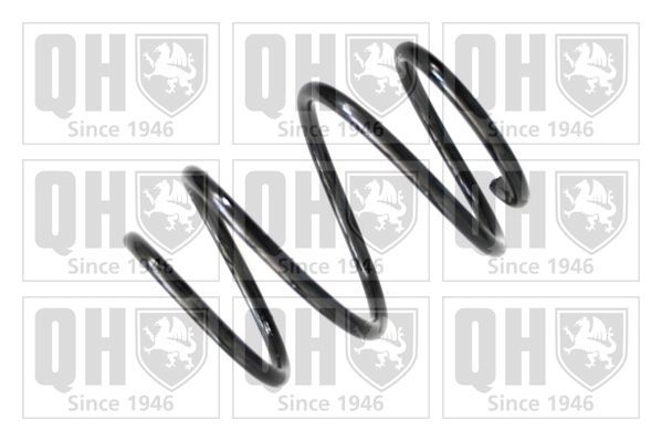 Spyruoklė QUINTON HAZELL QCS7979