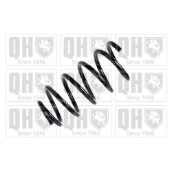 Spyruoklė QUINTON HAZELL QCS7992