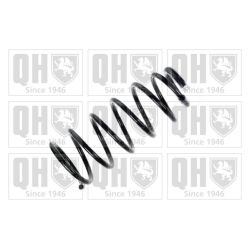 Spyruoklė QUINTON HAZELL QCS8048