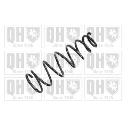 Spyruoklė QUINTON HAZELL QCS8211