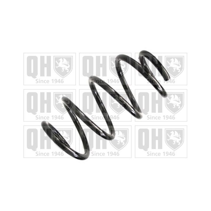 Spyruoklė QUINTON HAZELL QCS8309