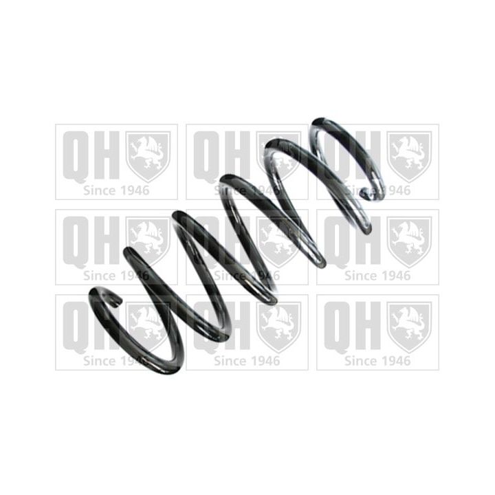 Spyruoklė QUINTON HAZELL QCS8313