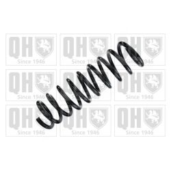 Spyruoklė QUINTON HAZELL QCS8449