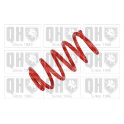 Spyruoklė QUINTON HAZELL QCS8569