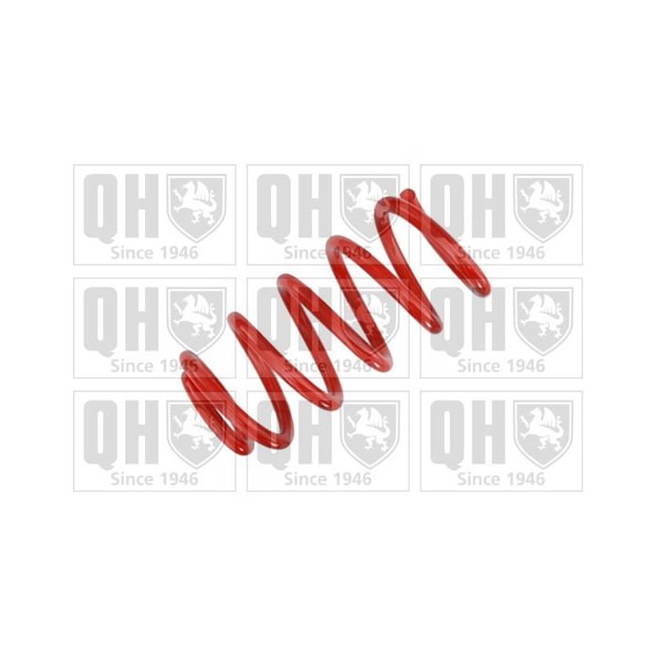 Spyruoklė QUINTON HAZELL QCS8569