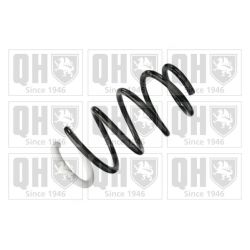 Spyruoklė QUINTON HAZELL QCS8603