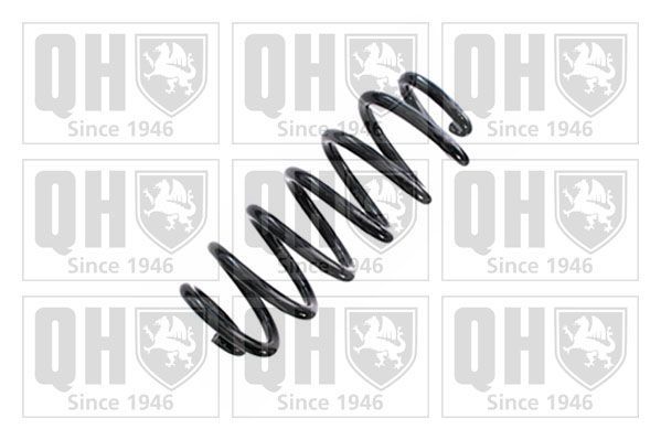 Spyruoklė QUINTON HAZELL QCS8810