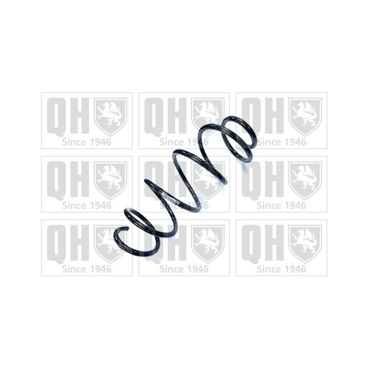 Spyruoklė QUINTON HAZELL QCS8913