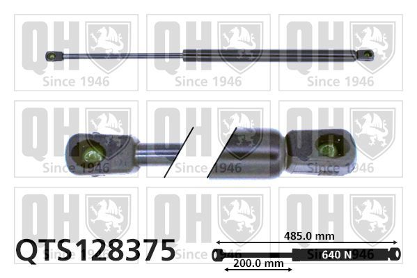 Dujinė spyruoklė, bagažinė QUINTON HAZELL QTS128375