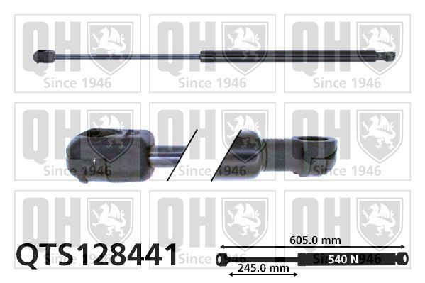 Dujinė spyruoklė, bagažinė QUINTON HAZELL QTS128441