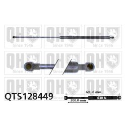 Dujinė spyruoklė, bagažinė QUINTON HAZELL QTS128449