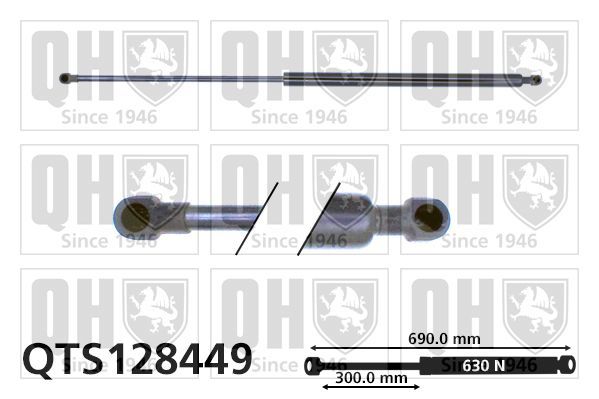 Dujinė spyruoklė, bagažinė QUINTON HAZELL QTS128449