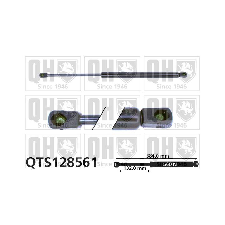 Dujinė spyruoklė, bagažinė QUINTON HAZELL QTS128561