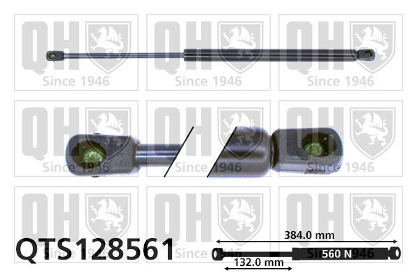 Dujinė spyruoklė, bagažinė QUINTON HAZELL QTS128561