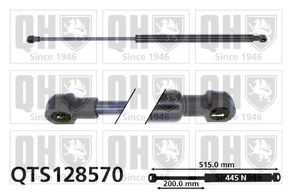 Dujinė spyruoklė, bagažinė QUINTON HAZELL QTS128570