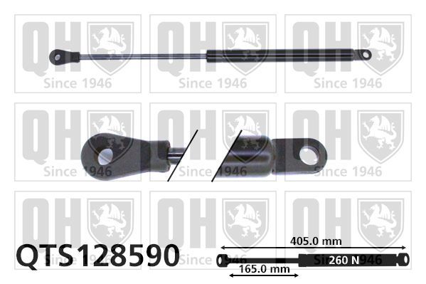 Dujinė spyruoklė, bagažinė QUINTON HAZELL QTS128590