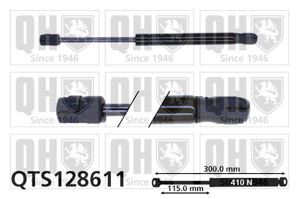 Dujinė spyruoklė, bagažinė QUINTON HAZELL QTS128611