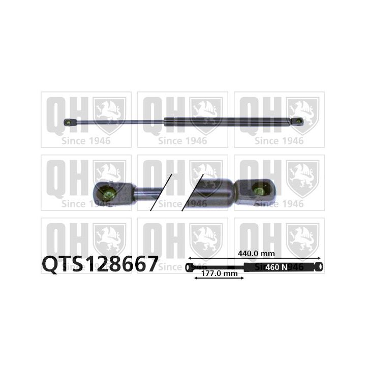 Dujinė spyruoklė, bagažinė QUINTON HAZELL QTS128667