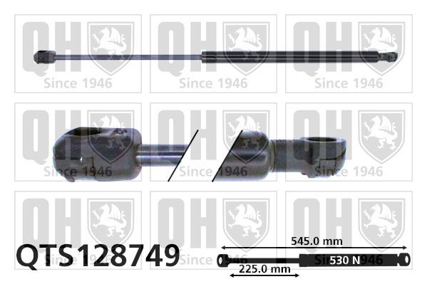 Dujinė spyruoklė, bagažinė QUINTON HAZELL QTS128749