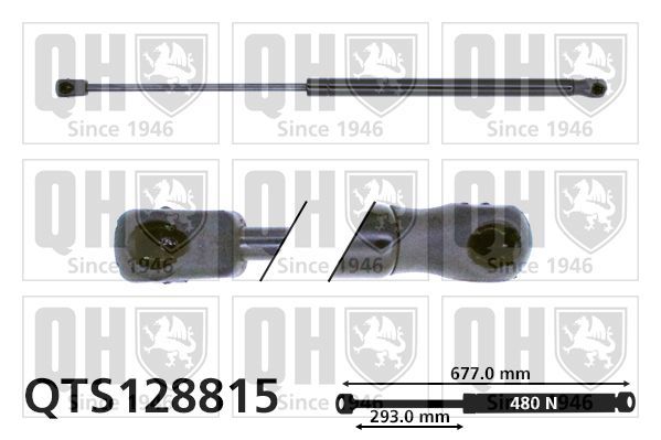 Dujinė spyruoklė, bagažinė QUINTON HAZELL QTS128815