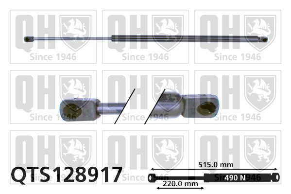 Dujinė spyruoklė, bagažinė QUINTON HAZELL QTS128917