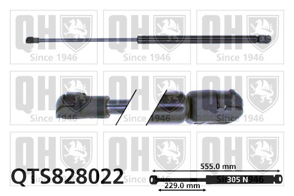 Dujinė spyruoklė, bagažinė QUINTON HAZELL QTS828022