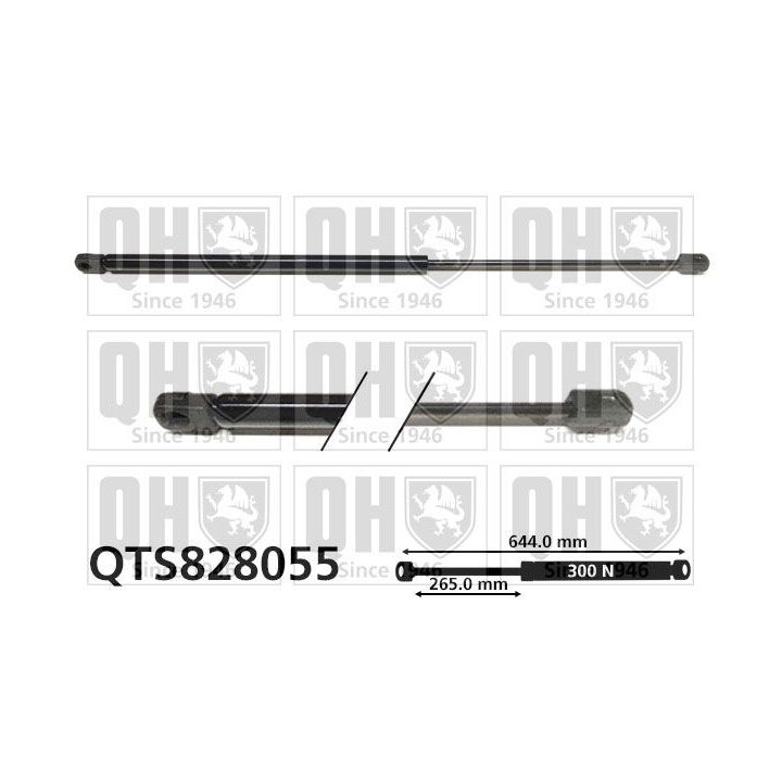 Dujinė spyruoklė, bagažinė QUINTON HAZELL QTS828055