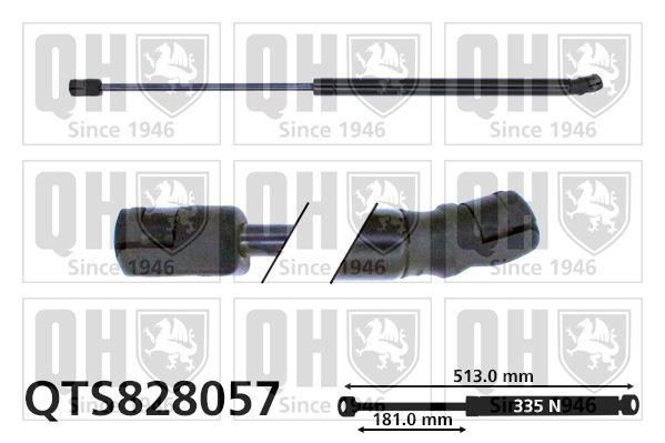 Dujinė spyruoklė, bagažinė QUINTON HAZELL QTS828057